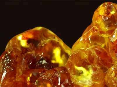 prehistoric-amber-1_musiics